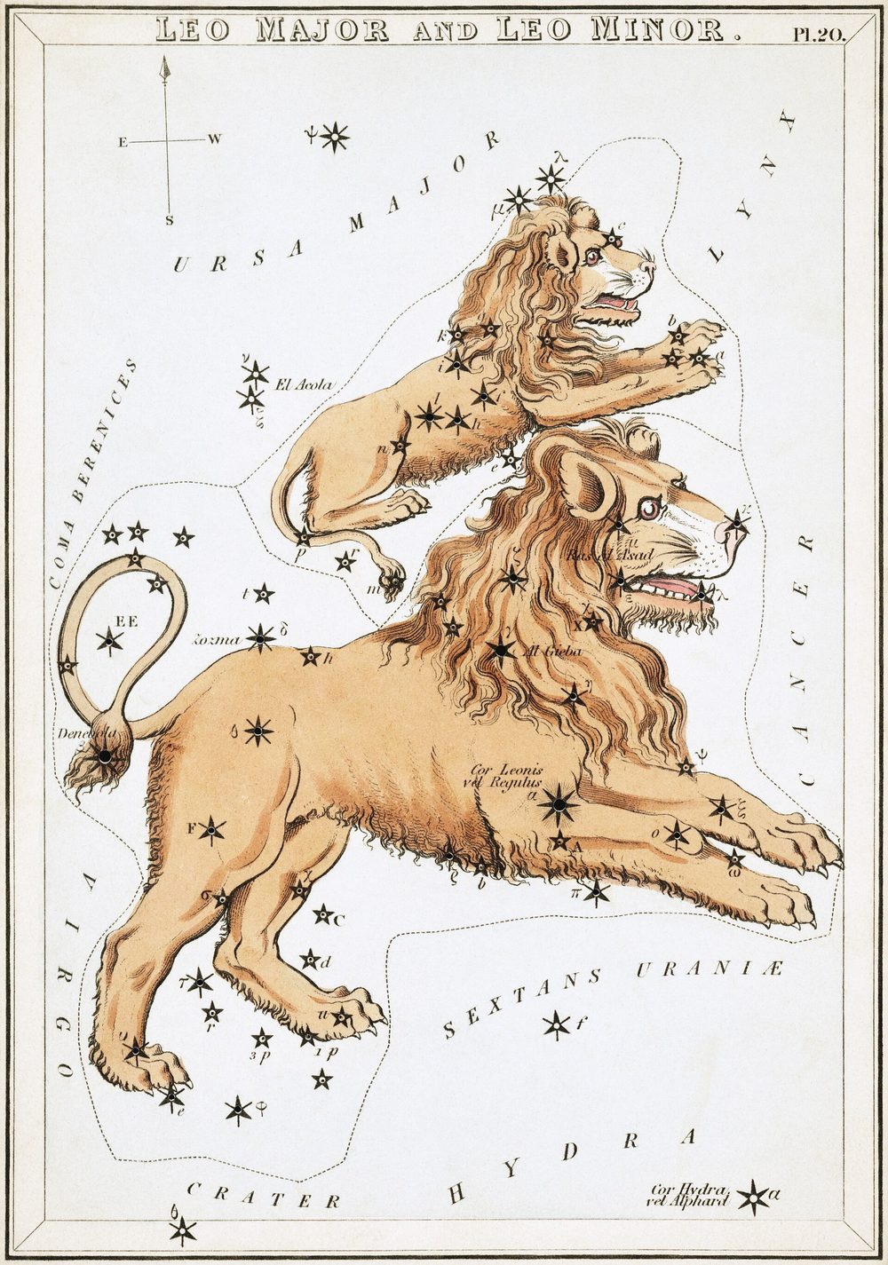 1825 Urania's Mirror card showing Leo Major and Leo Minor
