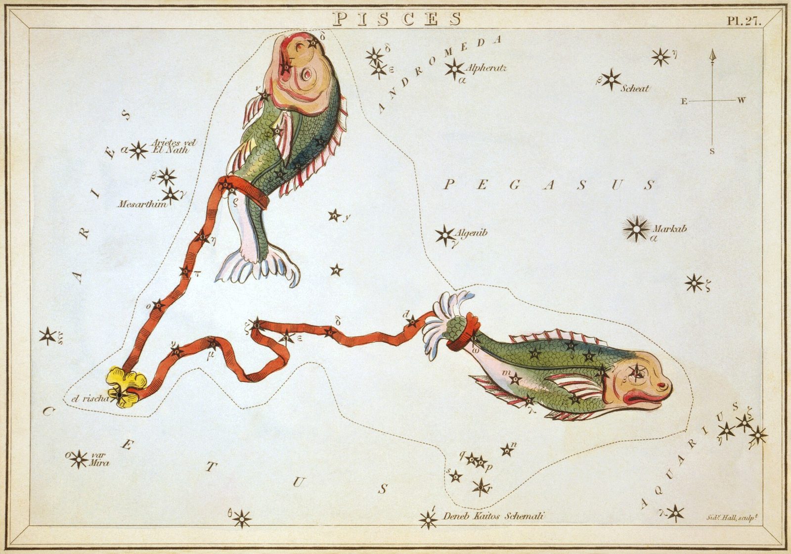 1825 Urania's Mirror card showing Pisces the two fish
